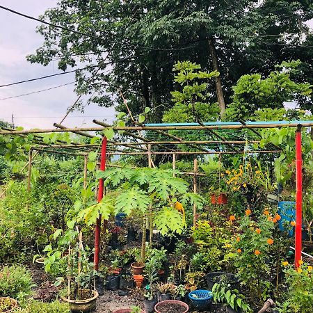 Atocha Homestay - Terong@Taiping Kampong Salak Εξωτερικό φωτογραφία